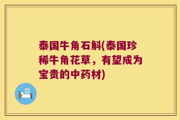 泰国牛角石斛(泰国珍稀牛角花草，有望成为宝贵的中药材)