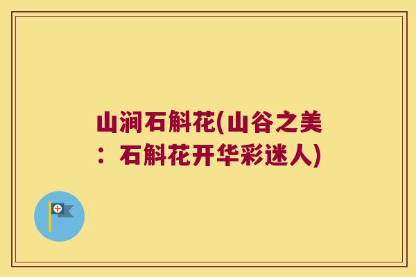 山涧石斛花(山谷之美：石斛花开华彩迷人)