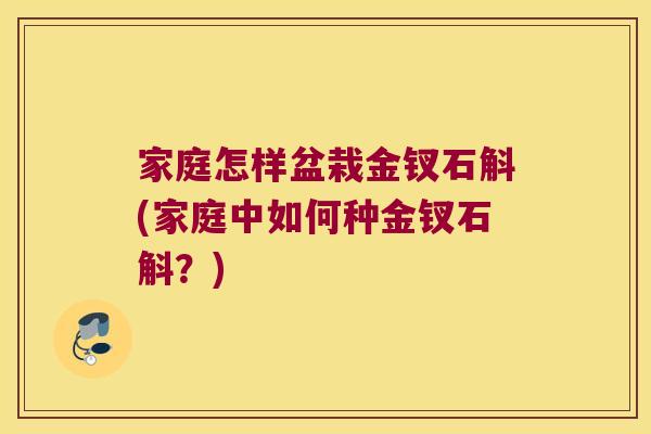 家庭怎样盆栽金钗石斛(家庭中如何种金钗石斛？)