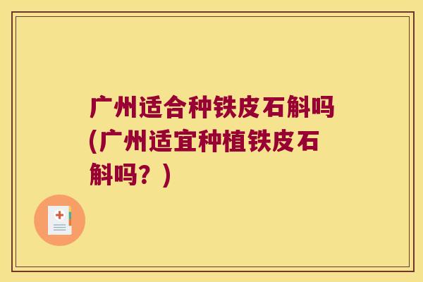 广州适合种铁皮石斛吗(广州适宜种植铁皮石斛吗？)