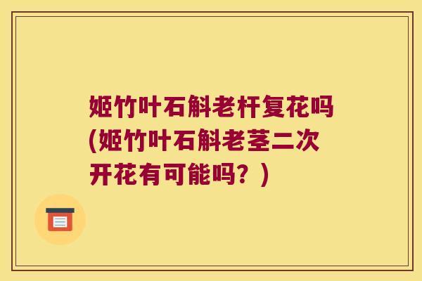 姬竹叶石斛老杆复花吗(姬竹叶石斛老茎二次开花有可能吗？)
