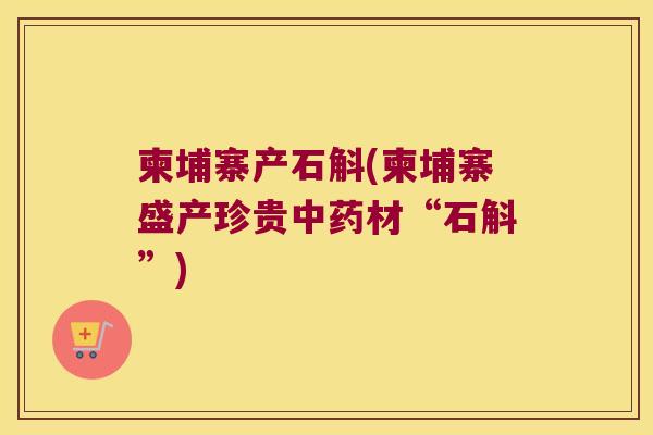 柬埔寨产石斛(柬埔寨盛产珍贵中药材“石斛”)