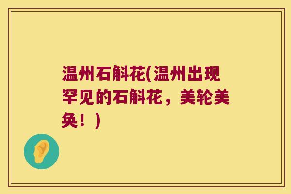 温州石斛花(温州出现罕见的石斛花，美轮美奂！)