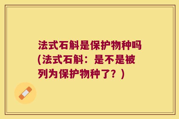 法式石斛是保护物种吗(法式石斛：是不是被列为保护物种了？)