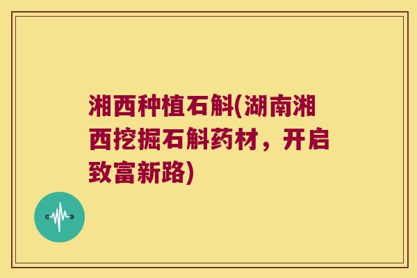 湘西种植石斛(湖南湘西挖掘石斛药材,开启致富新路) 湘西种植石斛(湖南湘西挖掘石斛药材,开启致富新路)