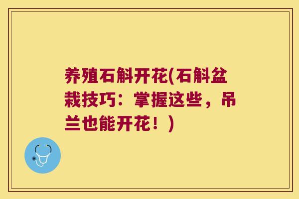 养殖石斛开花(石斛盆栽技巧:掌握这些,吊兰也能开花!) 养殖石斛开花(石斛盆栽技巧:掌握这些,吊兰也能开花!)