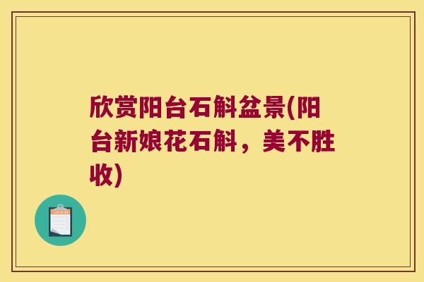 欣赏阳台石斛盆景(阳台新娘花石斛，美不胜收)