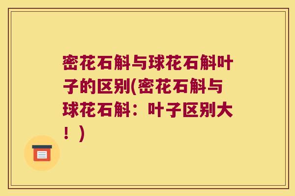 密花石斛与球花石斛叶子的区别(密花石斛与球花石斛：叶子区别大！)