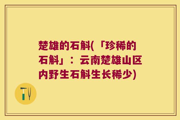 楚雄的石斛(「珍稀的石斛」：云南楚雄山区内野生石斛生长稀少)