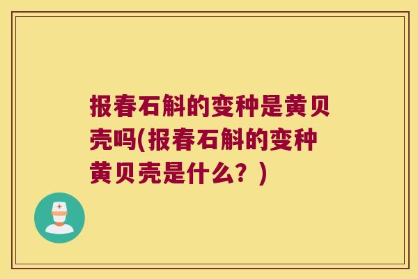 报春石斛的变种是黄贝壳吗(报春石斛的变种黄贝壳是什么？)