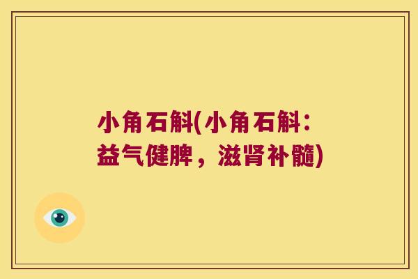 小角石斛(小角石斛：益气健脾，滋补髓)