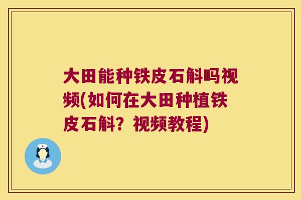 大田能种铁皮石斛吗视频(如何在大田种植铁皮石斛？视频教程)
