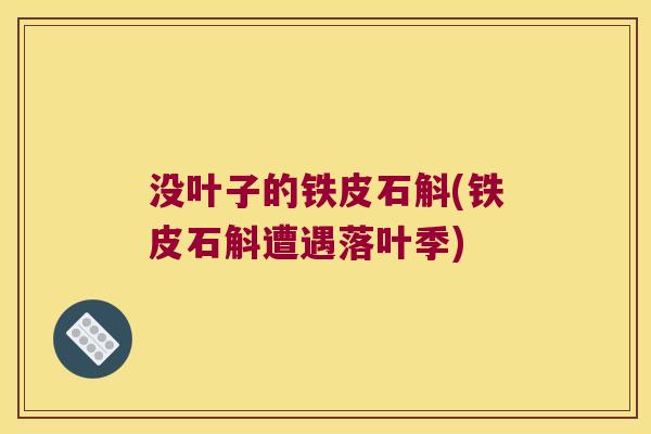 没叶子的铁皮石斛(铁皮石斛遭遇落叶季) 没叶子的铁皮石斛(铁皮石斛遭遇落叶季)