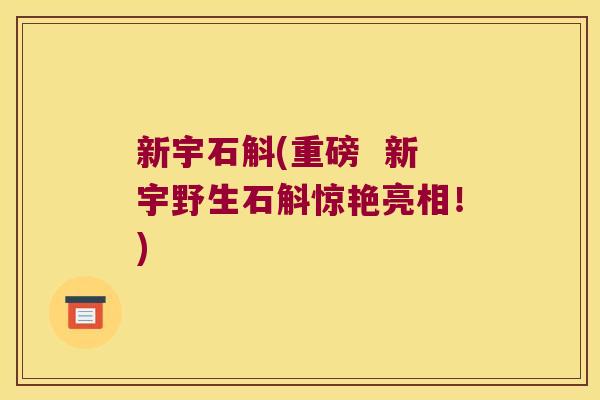 新宇石斛(重磅 新宇野生石斛惊艳亮相!) 新宇石斛(重磅 新宇野生石斛惊艳亮相!)