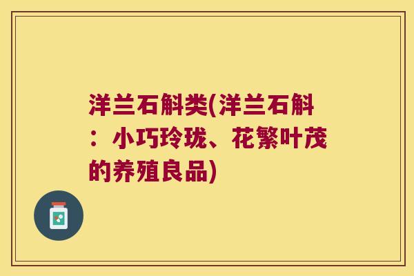 洋兰石斛类(洋兰石斛：小巧玲珑、花繁叶茂的养殖良品)