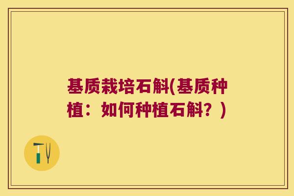 基质栽培石斛(基质种植：如何种植石斛？)