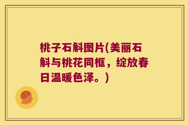 桃子石斛图片(美丽石斛与桃花同框，绽放春日温暖色泽。)