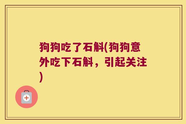 狗狗吃了石斛(狗狗意外吃下石斛，引起关注)