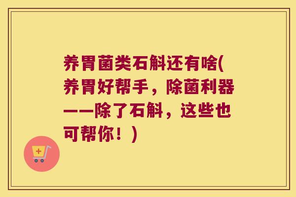 养胃菌类石斛还有啥(养胃好帮手，除菌利器——除了石斛，这些也可帮你！)