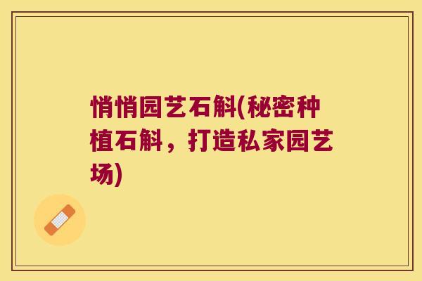 悄悄园艺石斛(秘密种植石斛，打造私家园艺场)
