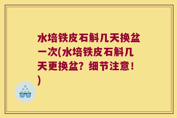 水培铁皮石斛几天换盆一次(水培铁皮石斛几天更换盆?细节注意!) 水培铁皮石斛几天换盆一次(水培铁皮石斛几天更换盆?细节注意!)