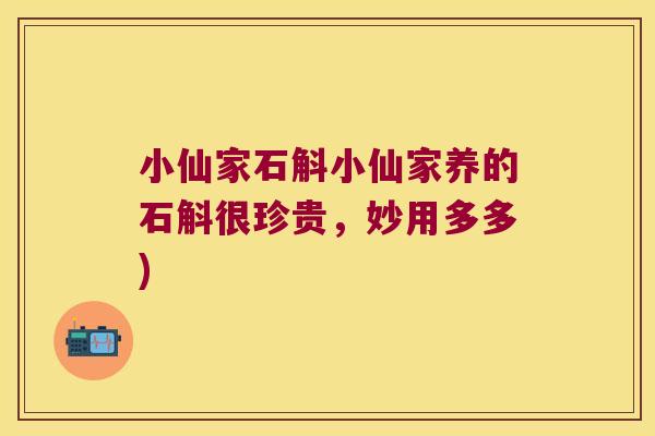 小仙家石斛小仙家养的石斛很珍贵，妙用多多)