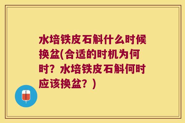 水培铁皮石斛什么时候换盆(合适的时机为何时？水培铁皮石斛何时应该换盆？)