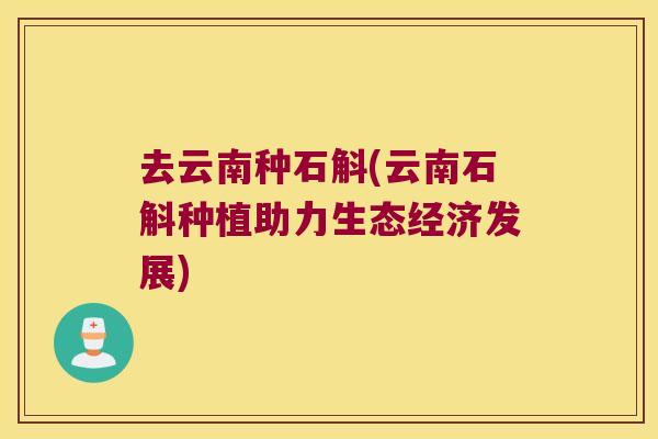 去云南种石斛(云南石斛种植助力生态经济发展)