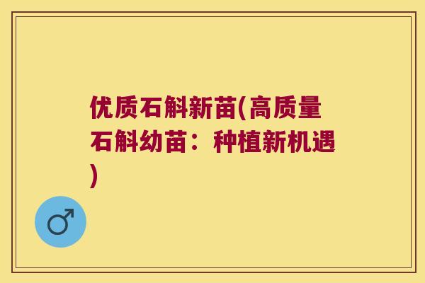 优质石斛新苗(高质量石斛幼苗：种植新机遇)