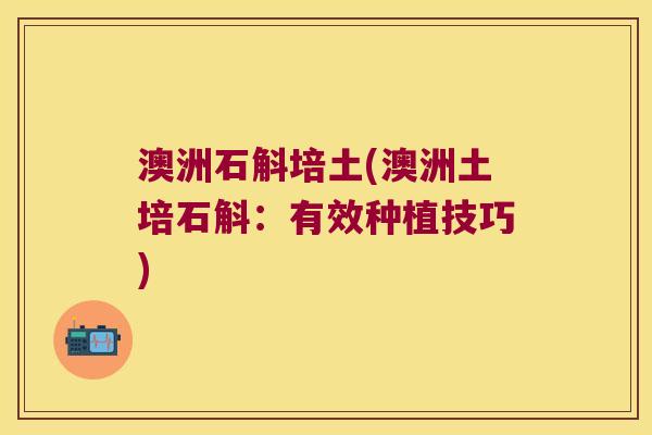 澳洲石斛培土(澳洲土培石斛:有效种植技巧) 澳洲石斛培土(澳洲土培石斛:有效种植技巧)