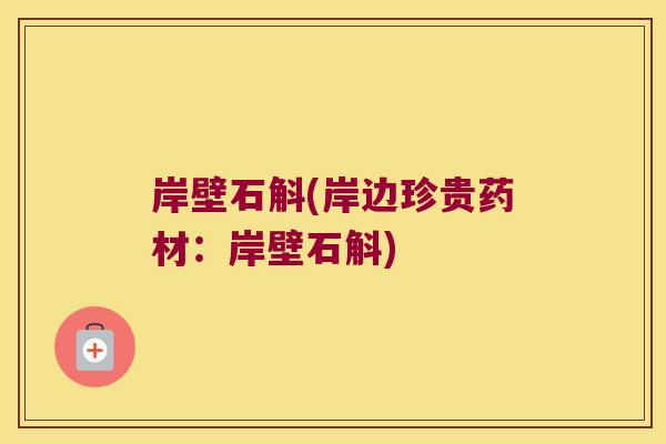 岸壁石斛(岸边珍贵药材：岸壁石斛)