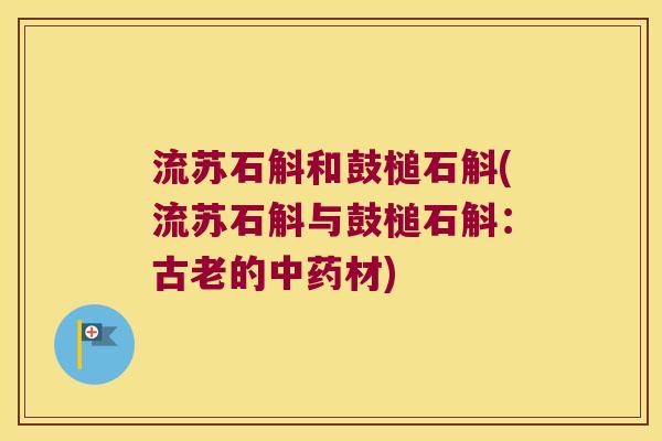 流苏石斛和鼓槌石斛(流苏石斛与鼓槌石斛：古老的材)