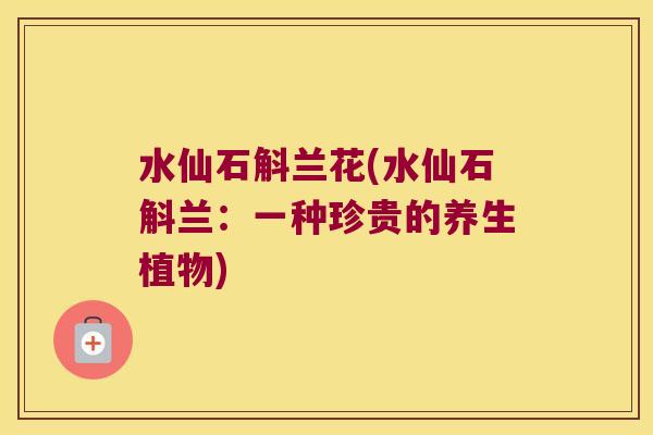 水仙石斛兰花(水仙石斛兰:一种珍贵的养生植物) 水仙石斛兰花(水仙石斛兰:一种珍贵的养生植物)