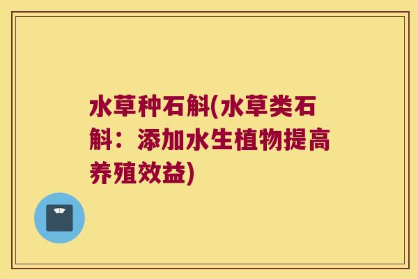 水草种石斛(水草类石斛：添加水生植物提高养殖效益)