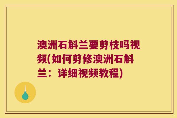 澳洲石斛兰要剪枝吗视频(如何剪修澳洲石斛兰：详细视频教程)