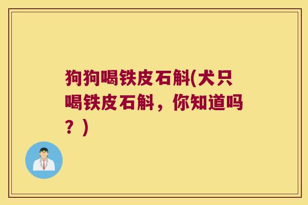 狗狗喝铁皮石斛(犬只喝铁皮石斛，你知道吗？)