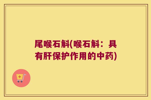 尾喉石斛(喉石斛:具有保护作用的) 尾喉石斛(喉石斛:具有保护作用的)
