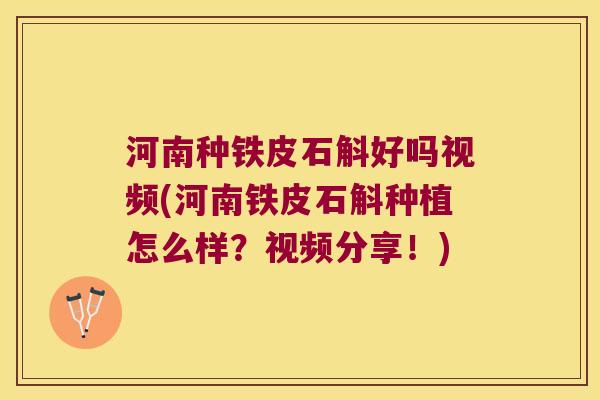 河南种铁皮石斛好吗视频(河南铁皮石斛种植怎么样？视频分享！)