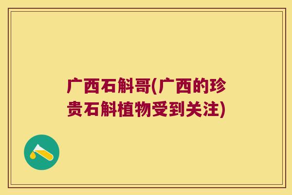 广西石斛哥(广西的珍贵石斛植物受到关注)
