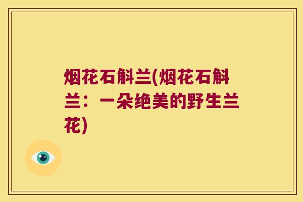 烟花石斛兰(烟花石斛兰:一朵绝美的野生兰花) 烟花石斛兰(烟花石斛兰:一朵绝美的野生兰花)
