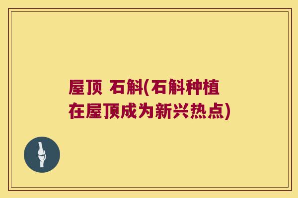 屋顶 石斛(石斛种植在屋顶成为新兴热点)