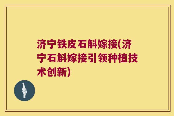 济宁铁皮石斛嫁接(济宁石斛嫁接引领种植技术创新)