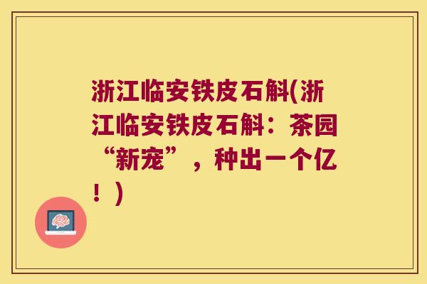 浙江临安铁皮石斛(浙江临安铁皮石斛：茶园“新宠”，种出一个亿！)