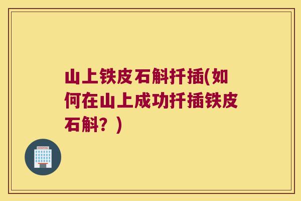 山上铁皮石斛扦插(如何在山上成功扦插铁皮石斛？)