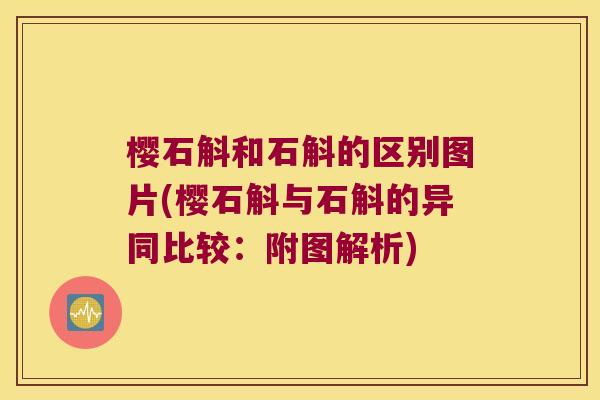 樱石斛和石斛的区别图片(樱石斛与石斛的异同比较：附图解析)