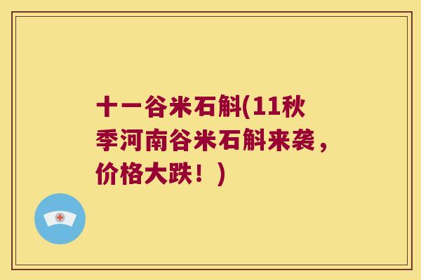 十一谷米石斛(11秋季河南谷米石斛来袭,价格大跌!) 十一谷米石斛(11秋季河南谷米石斛来袭,价格大跌!)