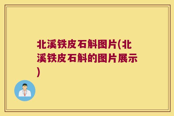 北溪铁皮石斛图片(北溪铁皮石斛的图片展示) 北溪铁皮石斛图片(北溪铁皮石斛的图片展示)
