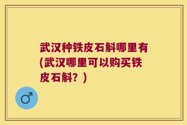 武汉种铁皮石斛哪里有(武汉哪里可以购买铁皮石斛？)