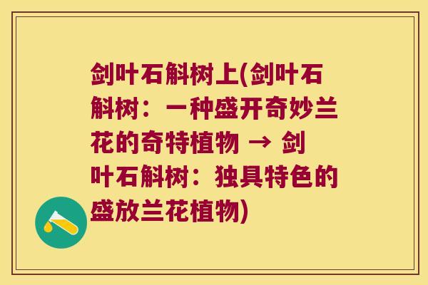 剑叶石斛树上(剑叶石斛树:一种盛开奇妙兰花的奇特植物 → 剑叶石斛树:独具特色的盛放兰花植物) 剑叶石斛树上(剑叶石斛树:一种盛开奇妙兰花的奇特植物 → 剑叶石斛树:独具特色的盛放兰花植物)