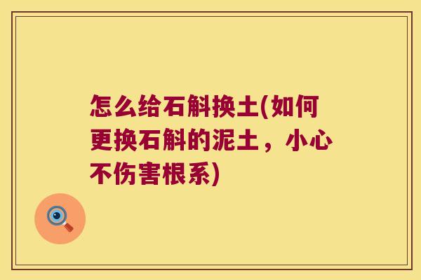 怎么给石斛换土(如何更换石斛的泥土，小心不伤害根系)